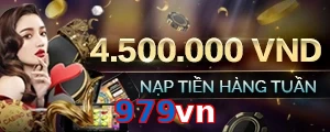 979vn
